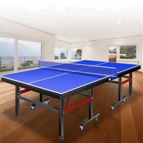 Table Ping Pong