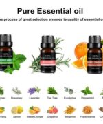 Huile essentielle - Pack de 12 – Image 4