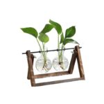 Vase decoration - Rack de 2